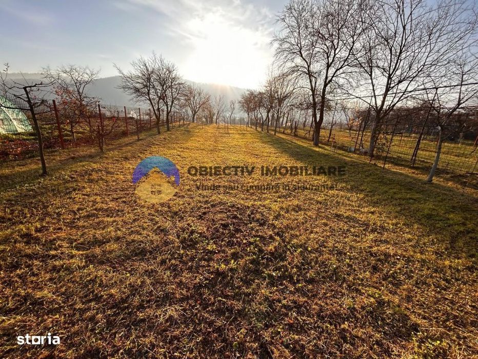 Teren de Vanzare – 1172 mp – Dumbrava Rosie, Neamt