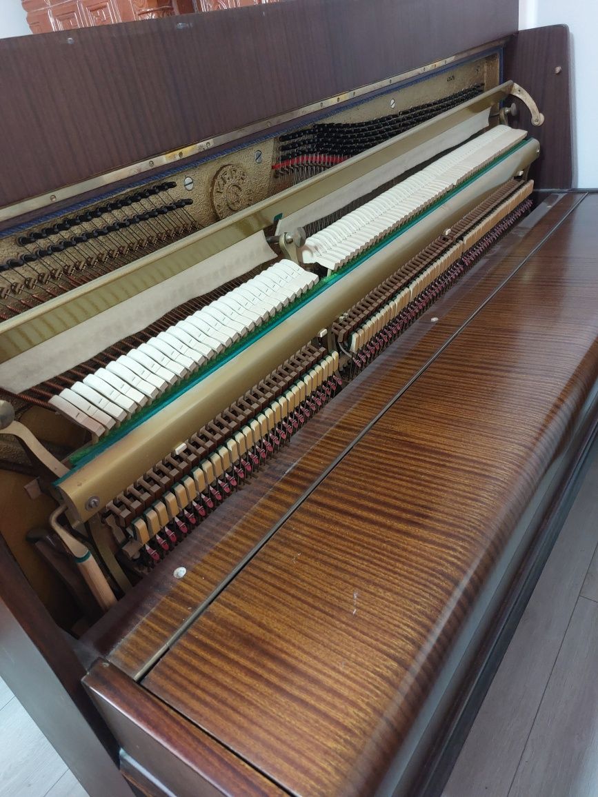 Pianina Calisia ( transport gratuit, garanție)