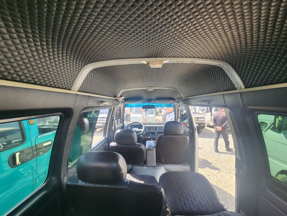 Damas sotildi serochny