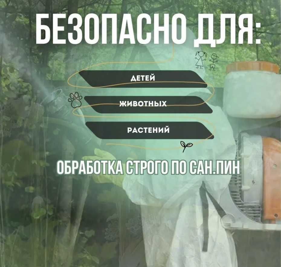Dezinfeksiya klop tarakan klapa термит Дезинфекция СКИДКИ до 40%