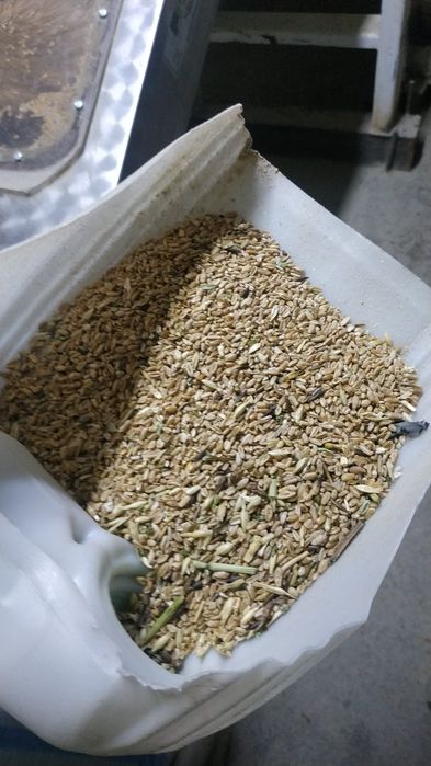 Отруби,зерноотход,сечка,овсюг.