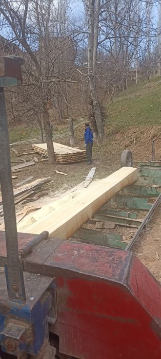 Кучма Пилорамма ленточный