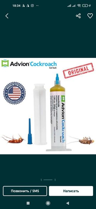 Tarakan dori geli Kalumush sichqon