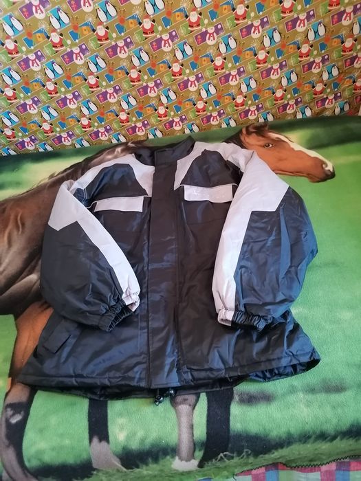 OFERTA, OFERTA, Ofertă, Ofertă, Ofertă, Ofertă