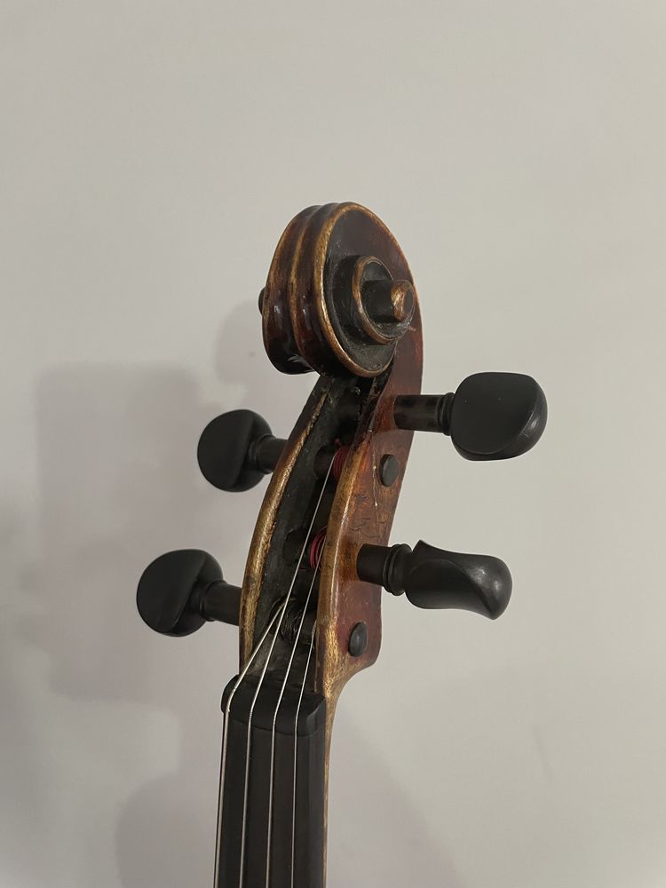 Nicolaus Amatus violin