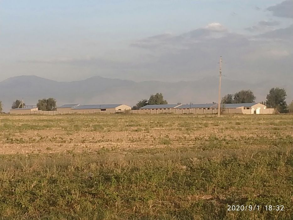 Продаю ферму
Охангарон
260 гектаров 
Ферма находится вдоль трассы
15 к