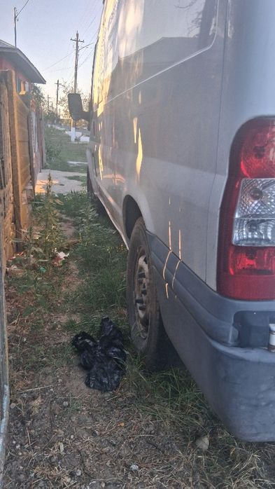 Vând Ford tranzit 2.2 130 cai an 2008 duba recent adusa din Franța