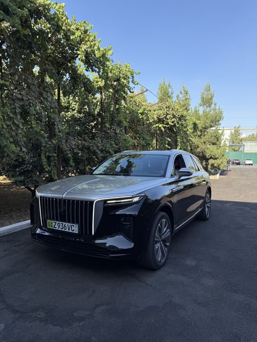 Hongqi E-HS9 2021