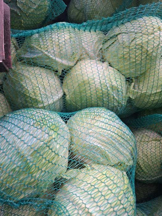 Varză en-gros perfectă pentru tăiat pret negociabil