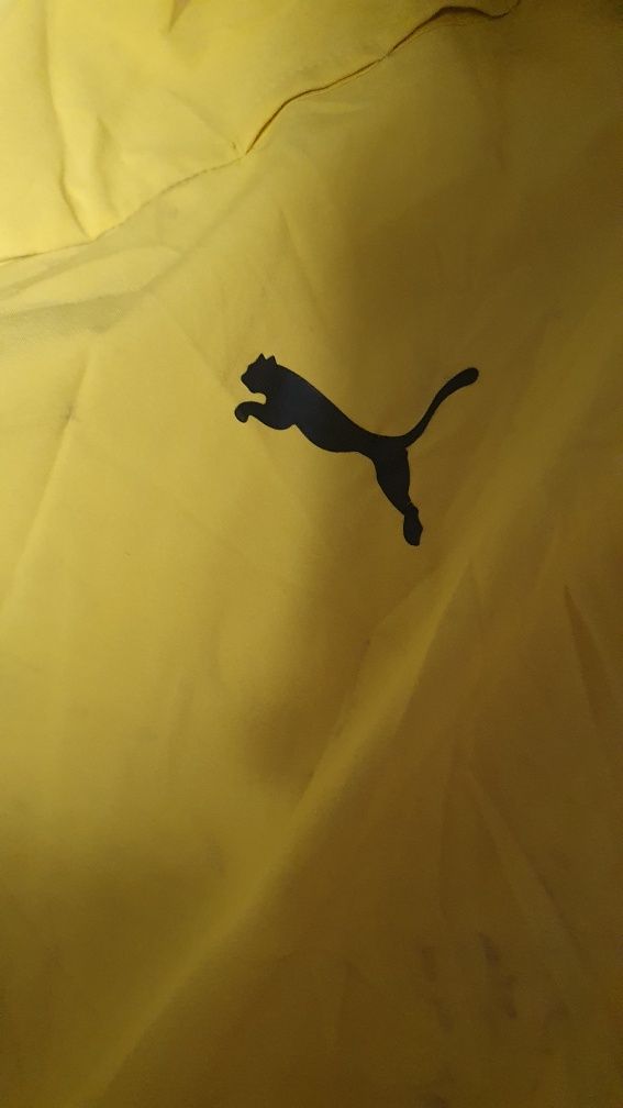 Jacheta puma x bvb