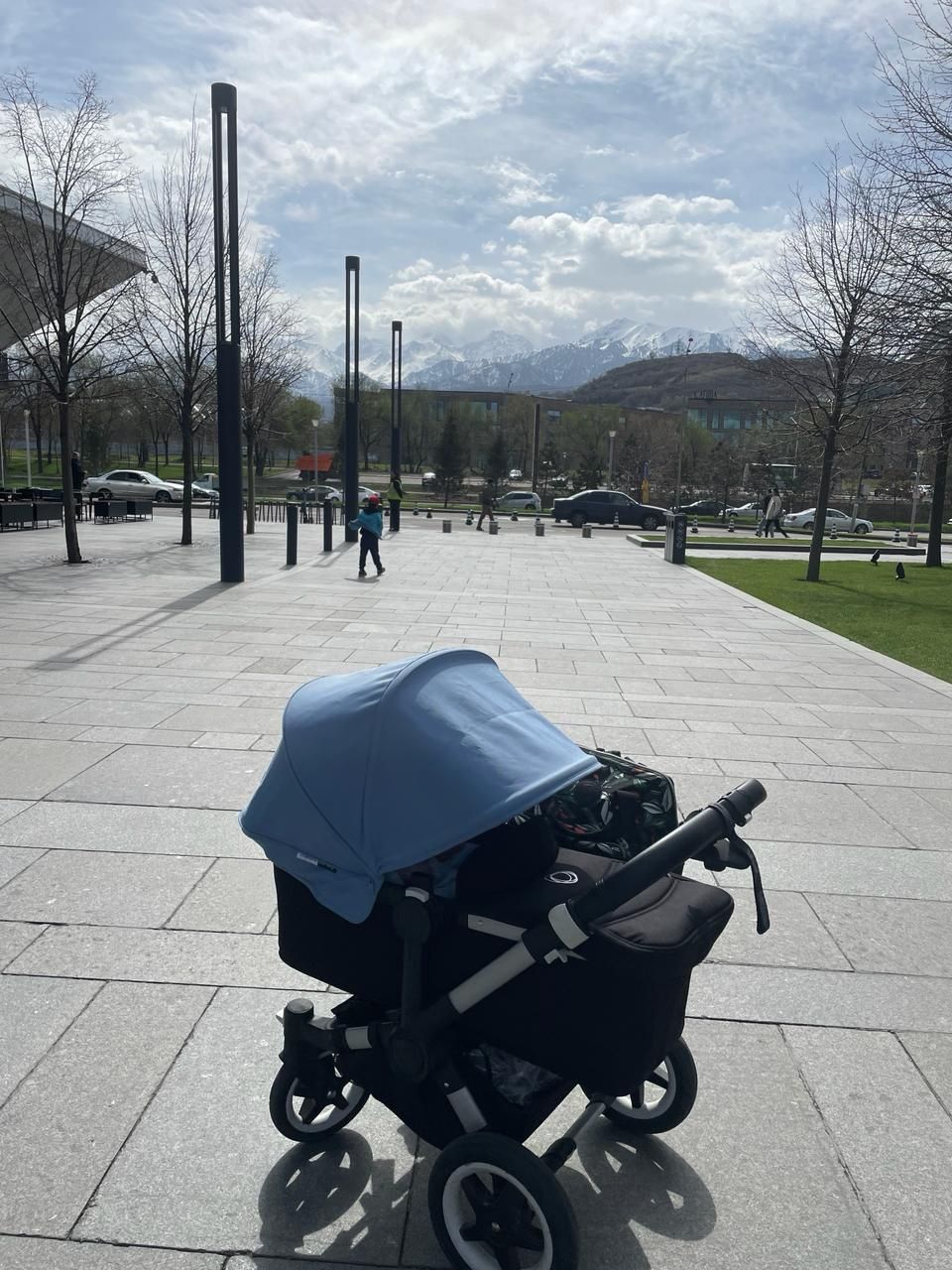 Bugaboo donkey 2