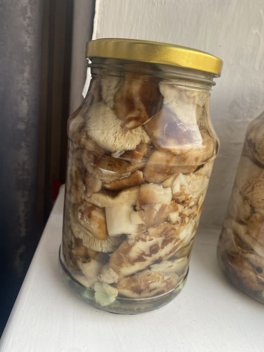 Продам грибы валуи