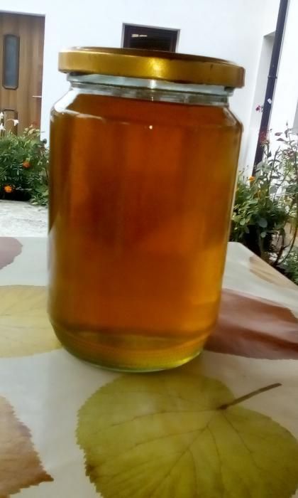 Продавам домашен натурален пчелен мед!