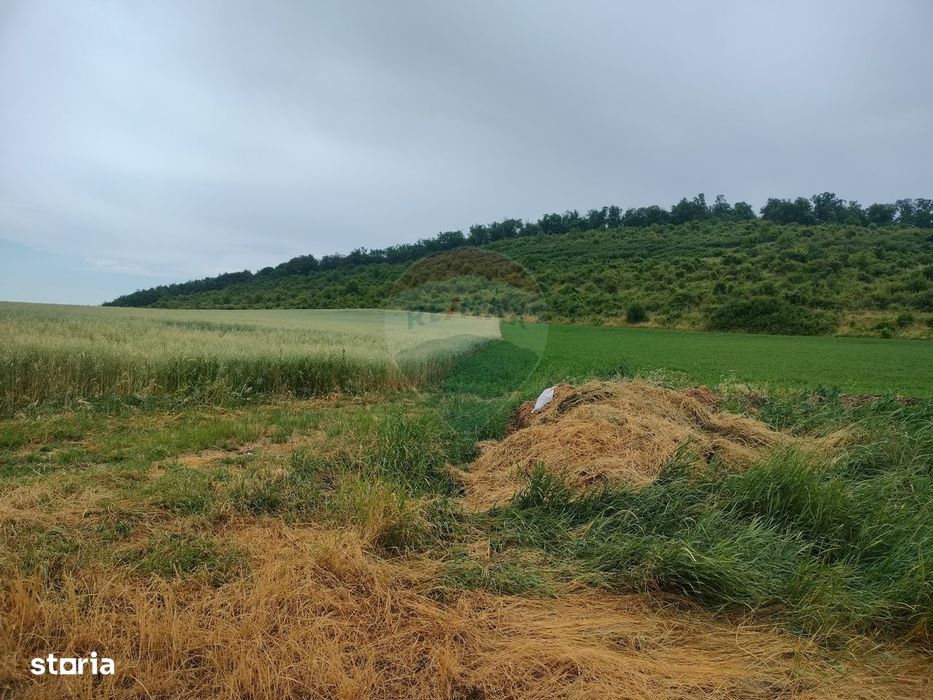 Teren extravilan 18200 mp Reghin