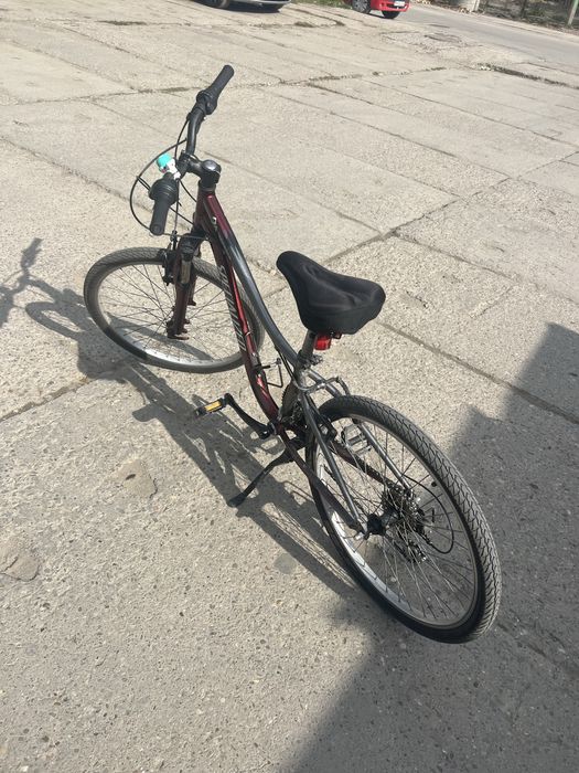 Specialized Hotrock 24