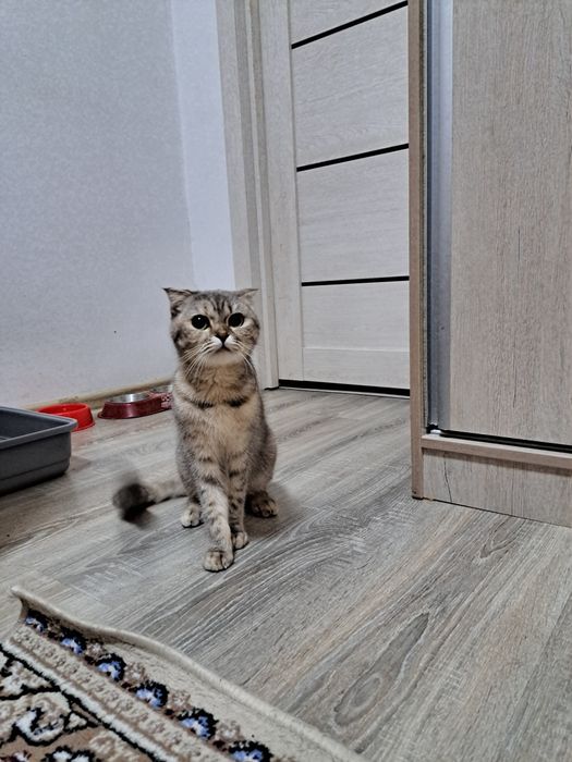 Срочно продается