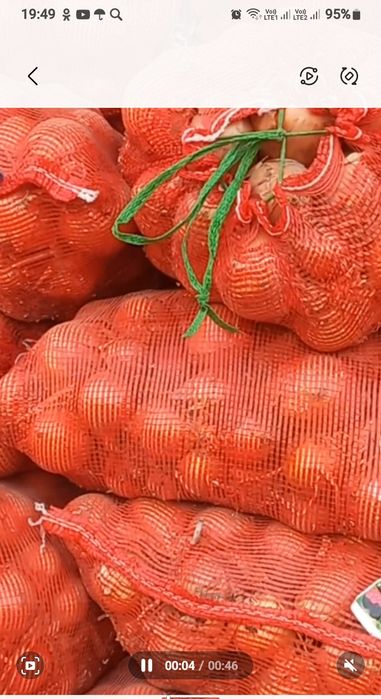 Лук хорошего качества.