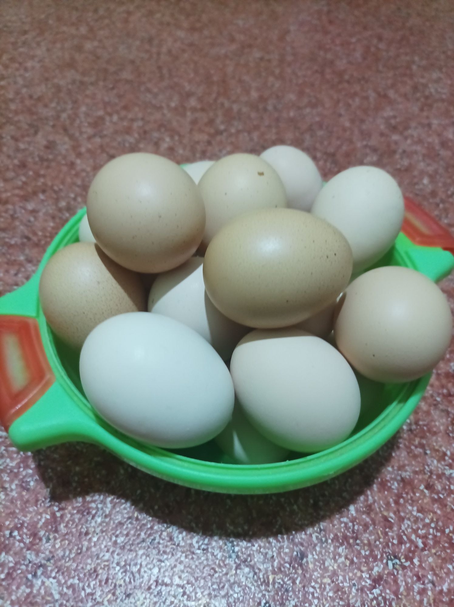 Продаётся домашние куриные яйца