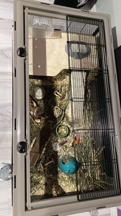 Cușcă hamsteri 100x54x39 si accesorii, hrana, nisip, labirint, roata