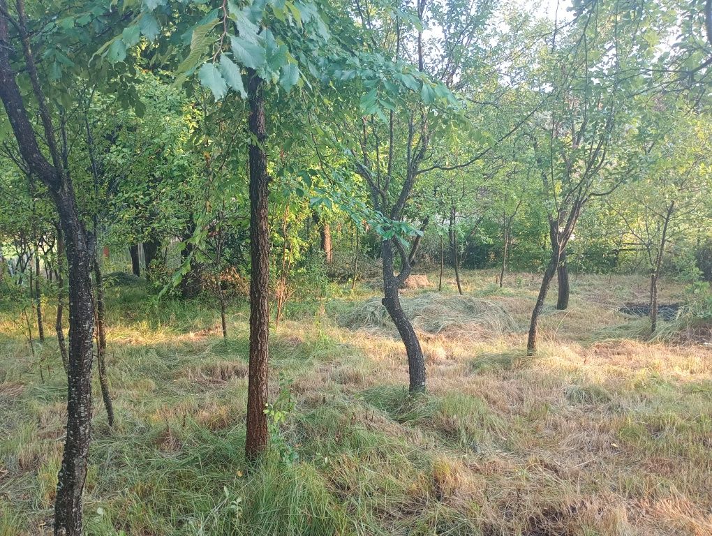 Cabana  intravilan Vâlcea, Vand/Schimb