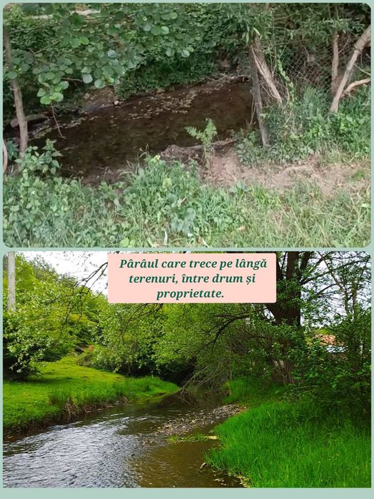 Proprietate Casă+grădina de vânzare