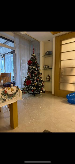 Елка новогодняя.