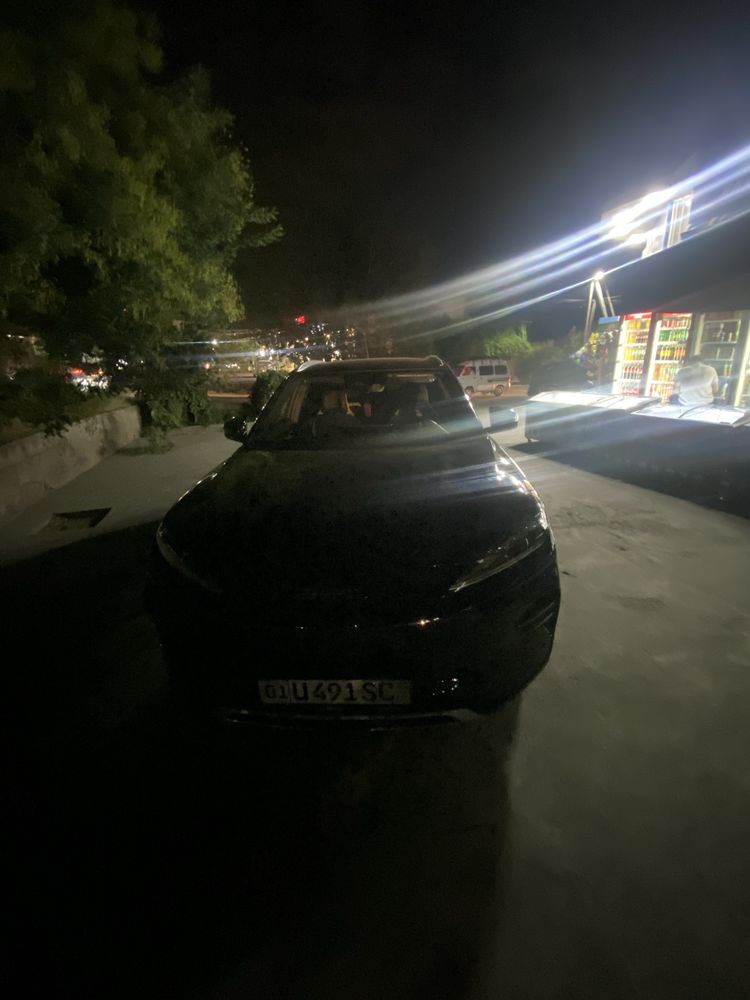 Byd chimpion yili2024