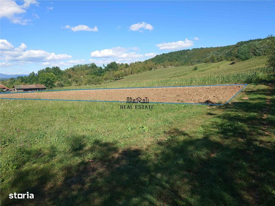 Teren intravilan pentru casa sau vacanta, Lunca, Baia de Cris