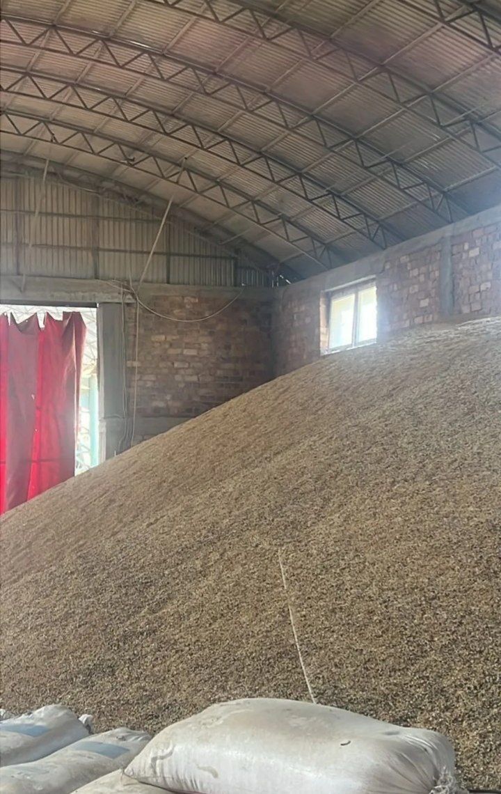 Продам ячмень в мешках Арпа 2 сорт