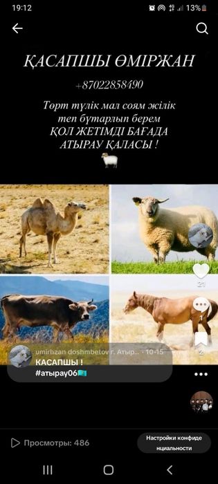 Касапшы мал сою жумыстары