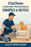 Curățare profesională saltele și canapele