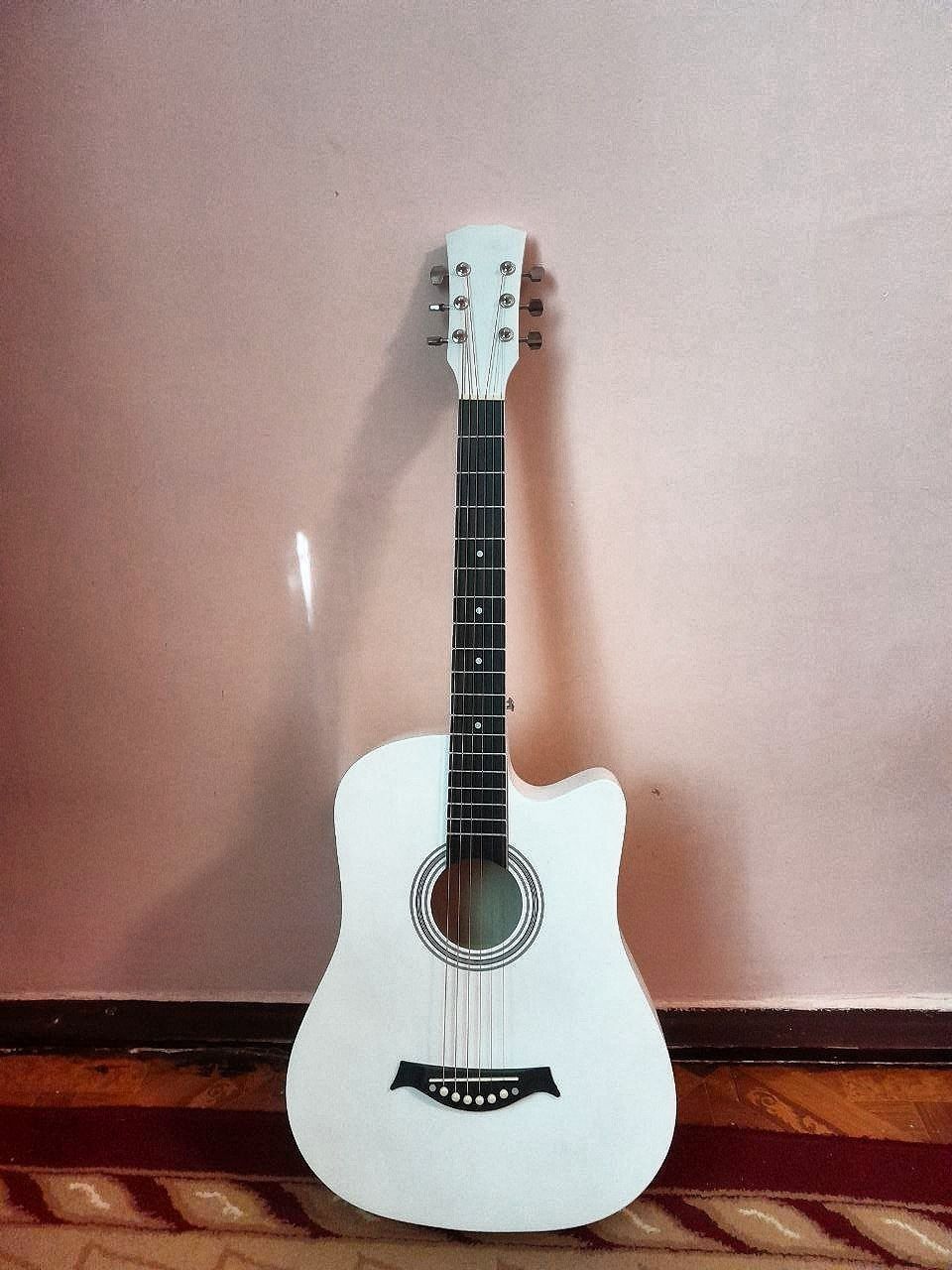Yengi gitara karobkasi bilan turibdi
