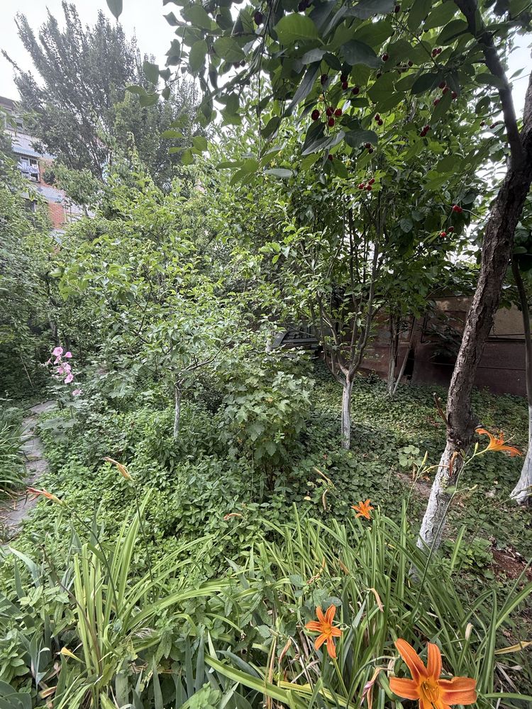 Участок с домом, 6 соток, Аранча, 7500 за сотку