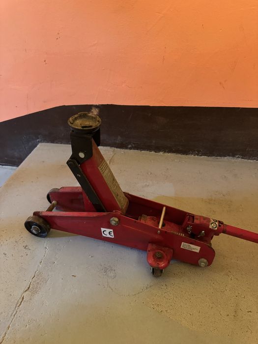 Крик гущер  оригинален