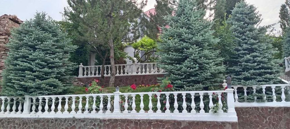 Чарвак дача с бассейном и сауной — идеальный отдых до 12 человек, со в
