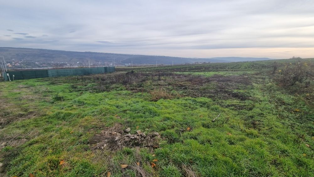 Teren Aribeanu Sorogari