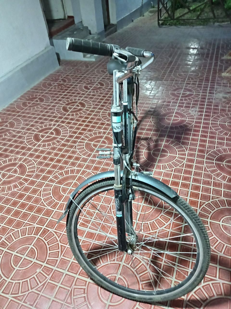 Velik sotiladi xolati yaxshi