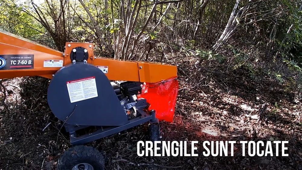 Curatare cosire defrisare gradina teren  cosit iarba tocare arbusti