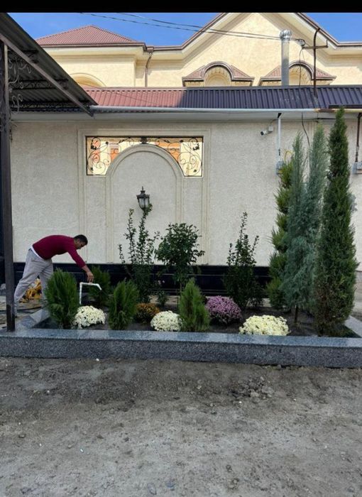 Landshaft,gazon qirqish, archa va daraxtlarni butalash  va dorilash