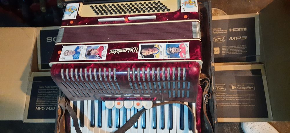 Acordeon Weltmeister