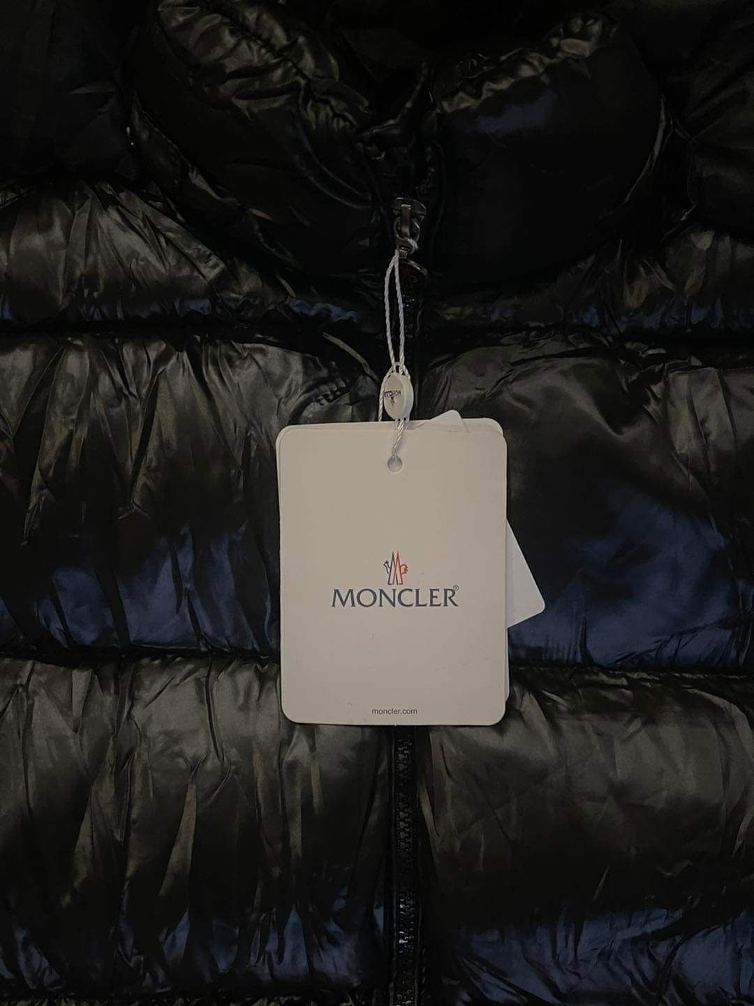 Мъжко зимно яке Moncler