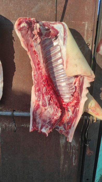 Продам мясо (свинина)