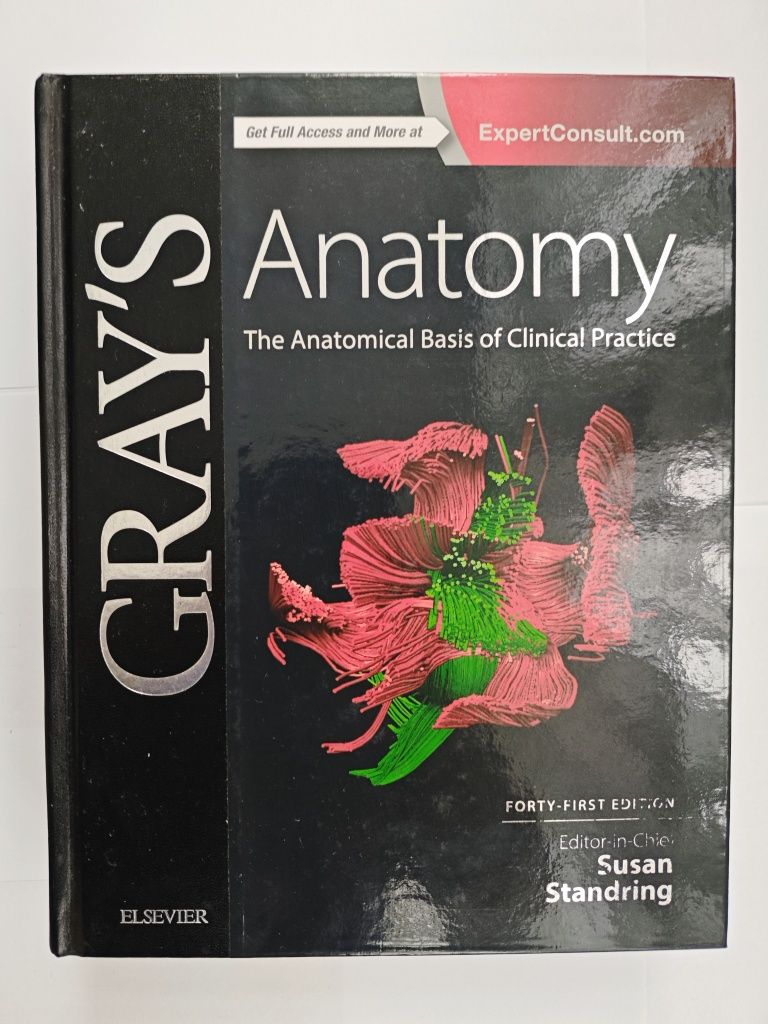 Gray's Anatomy-The Anatomical Basis of Clinical Practice