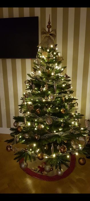 Brad de Crăciun în stare foarte bună