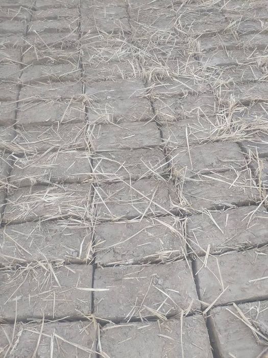 Loy Blok sotiladi 18/38