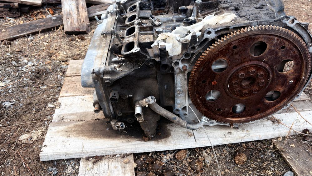 мотор ипсум 2.4.!