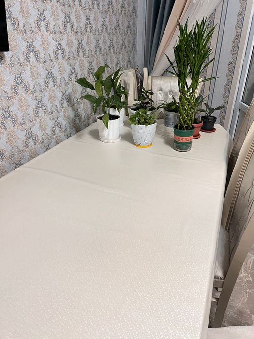 Стол  3  метр  60000тг