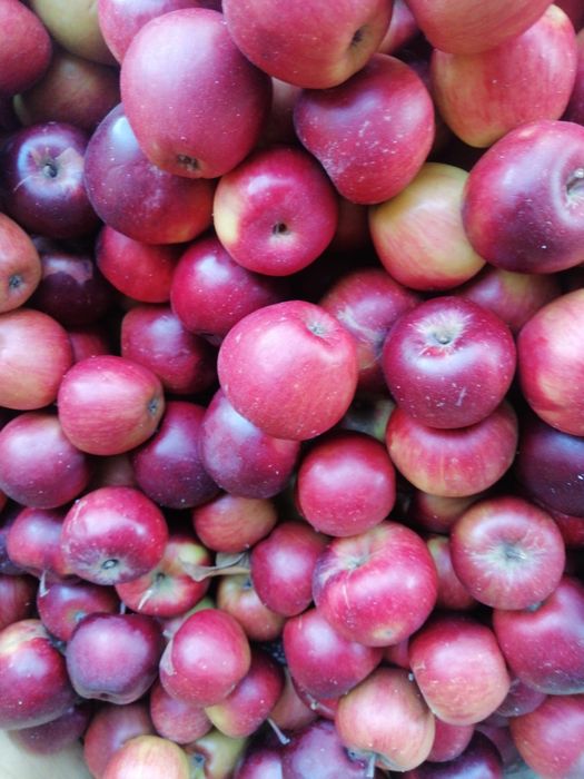 mere romanesti 3 lei