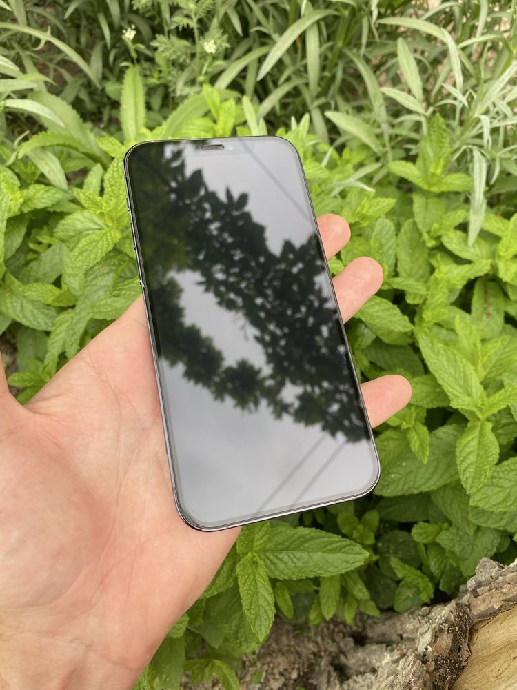 Iphone 12 pro 256. Синий. Идеал. Трутон бор. Фейс бор.