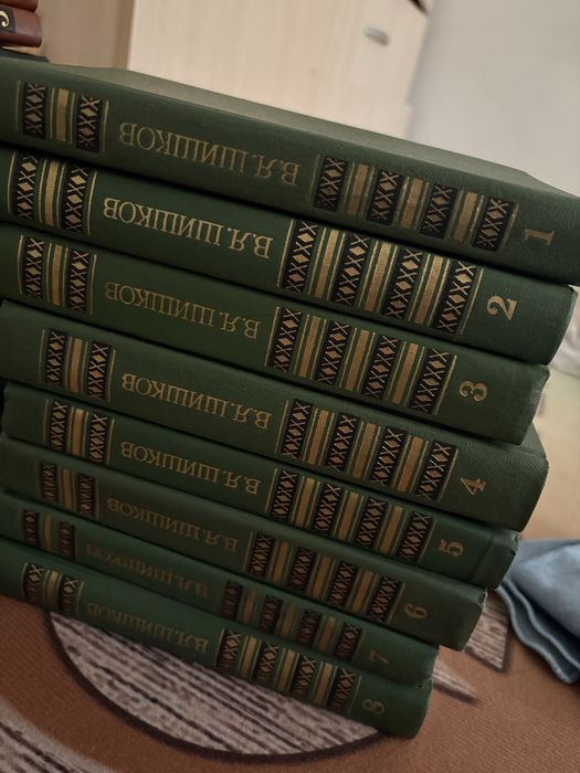 В.Я Шишков книга
